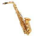 Bullfighter S-10 Professional Alto Saxophone with Brass Body and Gold Lacquer Finish Bb Pad
