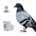 Gps Para Loros Pigeon GPS Tracker Real-time Positioning Piogeon Bird Flight Tracking Leg Bands GPS Pigeon Ring for Pigeon Track