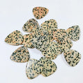 Huiying Custom Brand Logo Printing Dalmatian Jasper Guitar Pick