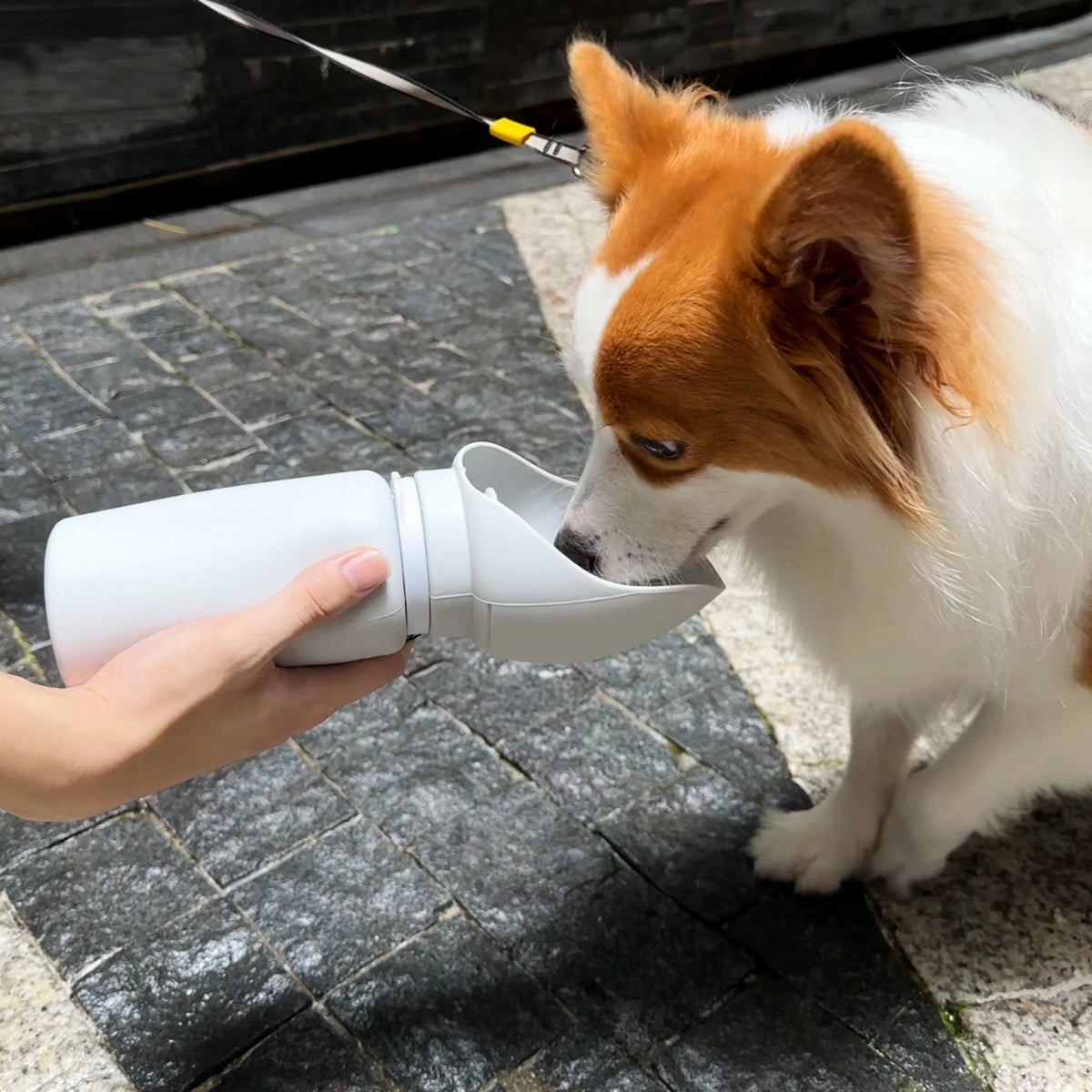Hot Selling Custom Portable Silicone Outdoor Walking Drinking Feeder Leak Proof Puppy Bowls Pet Dog Travel Water Bottle