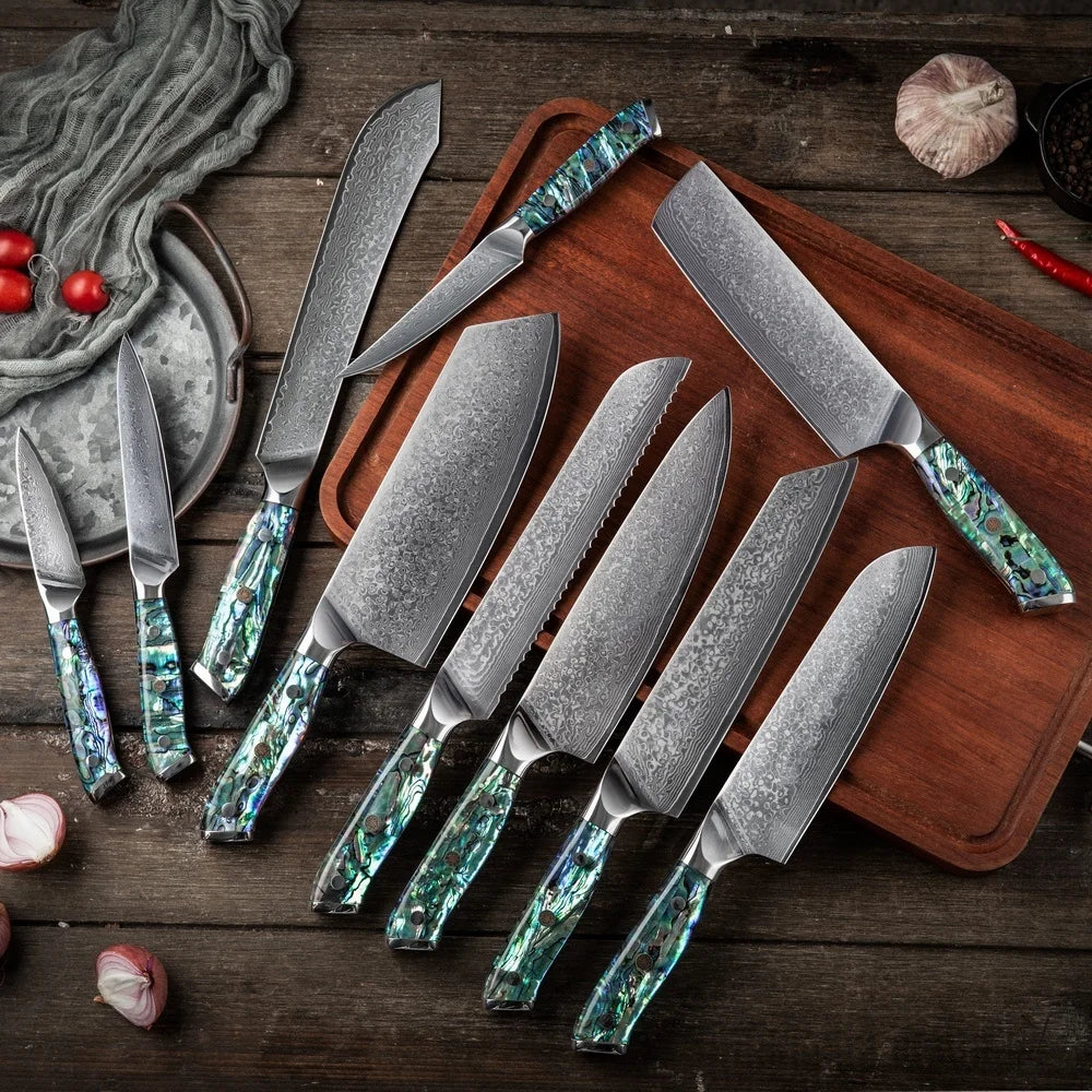 10 Pcs Kitchen Knife Set with Abalone Shell Handle JDH Damascus Knife Set 67 Layers Damascus Steel