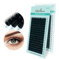 Professional Individual Lashes Premium PBT B C CC D DD Curl Single Mink False Classic Eyelash Extensions Wholesale