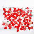 Diy Diy OEM Custom New Design Guitar Accessories Red Jasper Guitar Pick