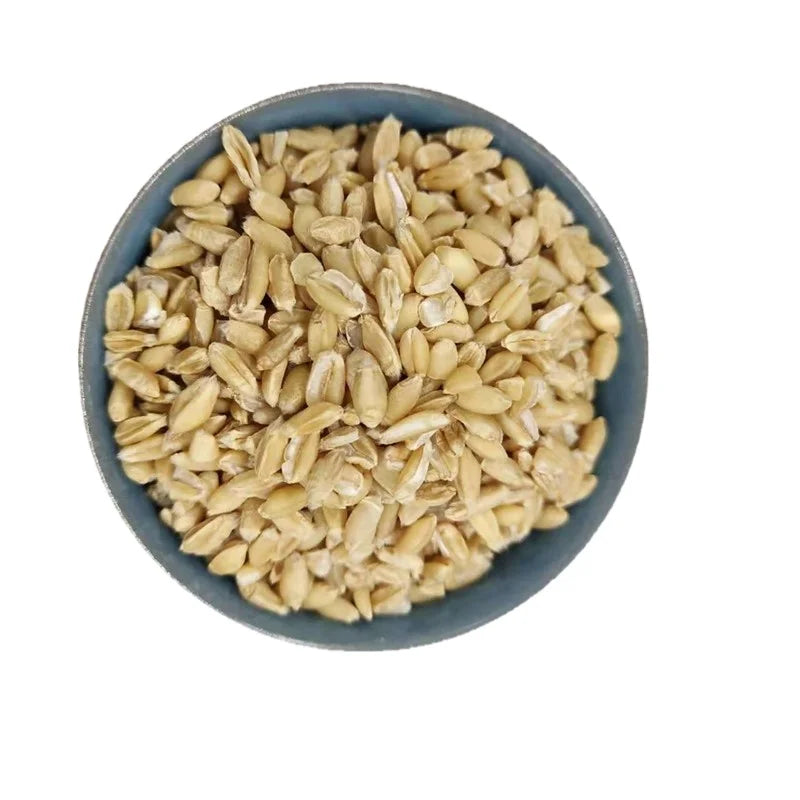 Premium Dried Whole Blighted Wheat Shriveled Wheat for Herb