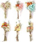 Hot Selling Mini Dried Flower Bouquet for Decor 6 Bundle Dried Bouquet for Gift Small Flower for Picture Frames DIY