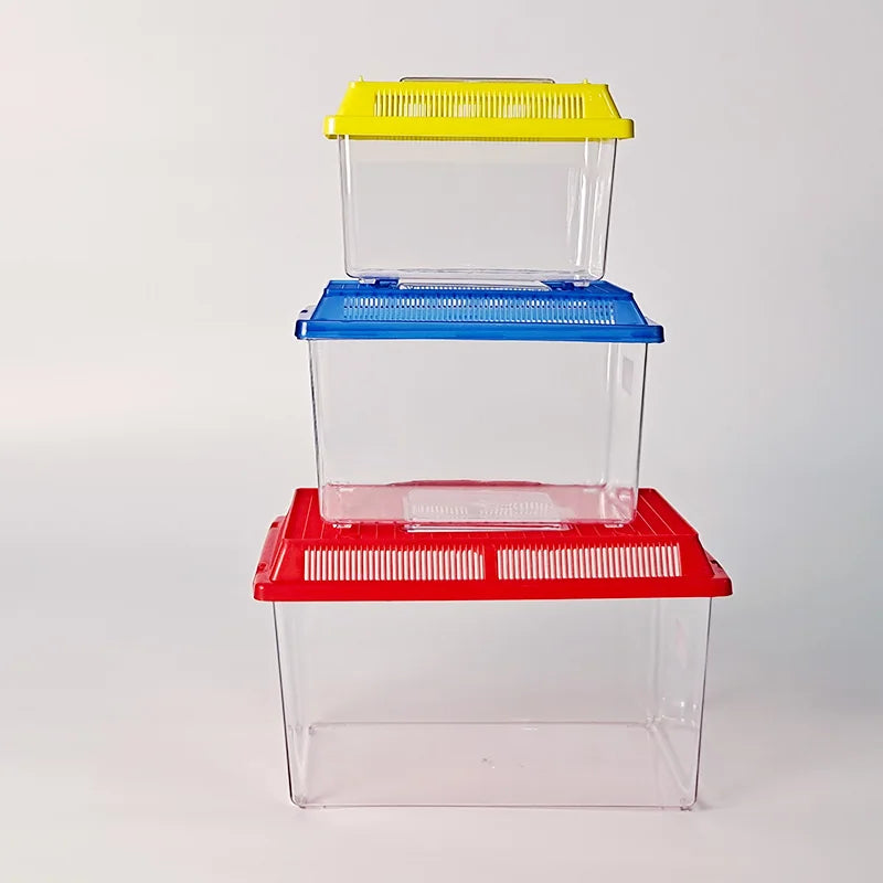 Cheap Small Middle Size Tropical Betta Fish Box Enclosure Plastic Fish Tank