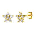 925 Sterling Silver Stud Earring Starfish Five-pointed Star Zircon Fashion Jewelry