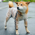Four Seasons Spring Summer Autumn Winter Transparent Waterproof Coat