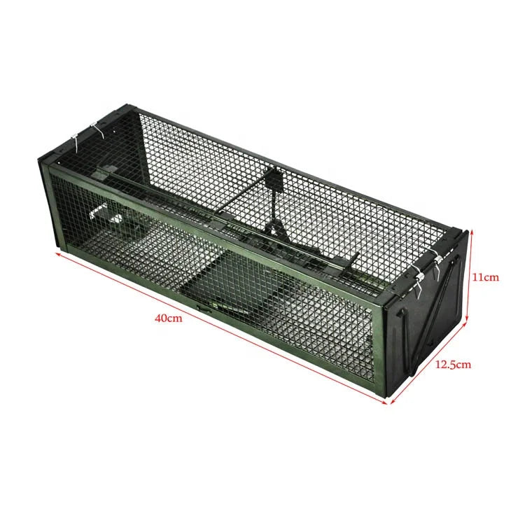 Professional Double Door Stainless Steel Solid Mouse Rat Cage Trap for Restaurants Eco-Friendly Small Animal Control