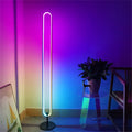 Nordic Minimalist U-Shape LED RGB Control Floor Lamp Factory Supplied Household Decorative Standing Light for Office USB Power