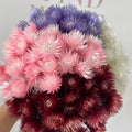Wholesale Price Natural Dried Flowers Syncarpha Vestita Real Everlasting Long Lasting Dried Flower for Dry Flower Bouquet