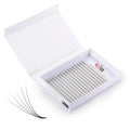 PBT 10d 14d 20d Promade Large Trays Premade Fans 5d 6d 8d Long Stem Russian Volume Lashes Superroot Premade Lash Extensions