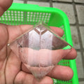 Wholesale clear Natural White Crystal Energy Pyramid Healing Gemstone Chakra Pyramids