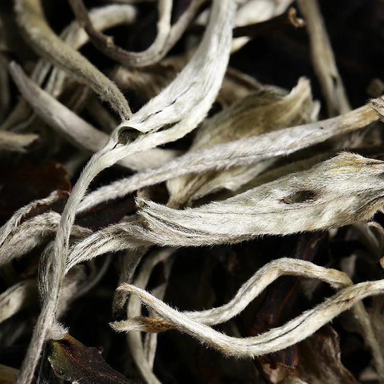 Harvest in Yunnan White Peony Tea Moonlight White Tea Health Tea Loose Tea Bag