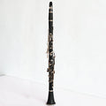 Stanluo S101 German System G Clarinet (Klarinette) Hard Rubber Body Black Nickel Plated Keys MegaBDM