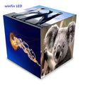Outdoor P2.5 Led Round Double Sided Digital Signage Billboards 4 Faces 5 Faces Advertising Screen logo Brand 3d Led Cube Display