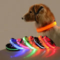 Manufacturer USB Rechargeable Night Safety LED Flashing Dog Collar Modern Solid PET Supplies Polyester Simple Luminous