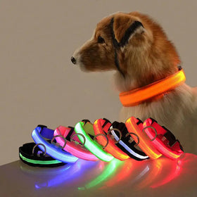 Manufacturer USB Rechargeable Night Safety LED Flashing Dog Collar Modern Solid PET Supplies Polyester Simple Luminous