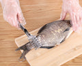 HelloWorld 1 Pc Stainless Steel Fast Cleaning Fish Skin Scales Brush Scales Remover Tools Shaver Cleaner Descaler Skinner Scaler Gadget