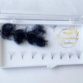 Flourishing Lashes Handmade Premade Volume Fans 3D 20D 0.03 0.05 0.07 Eyelash Extensions Natural Long Top Korean PBT Fibers