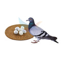 Bird Breeding Egg Pad Pigeon Nest Coconut Fiber Mat Pigeon Nest Mat Felts