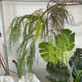 Queyiyi Long Branches Leaf Artificial Plant  Long Branch Willow Bud Home Decor