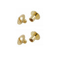 Customized Solid Brass Rivet Saddlery 7/8" Brass Screws