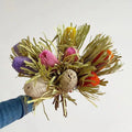2025 New Product Ideas Preserved Pink King Protea Banksia Flowers Dried Wedding Valentine's Day Graduation Christmas Decoration