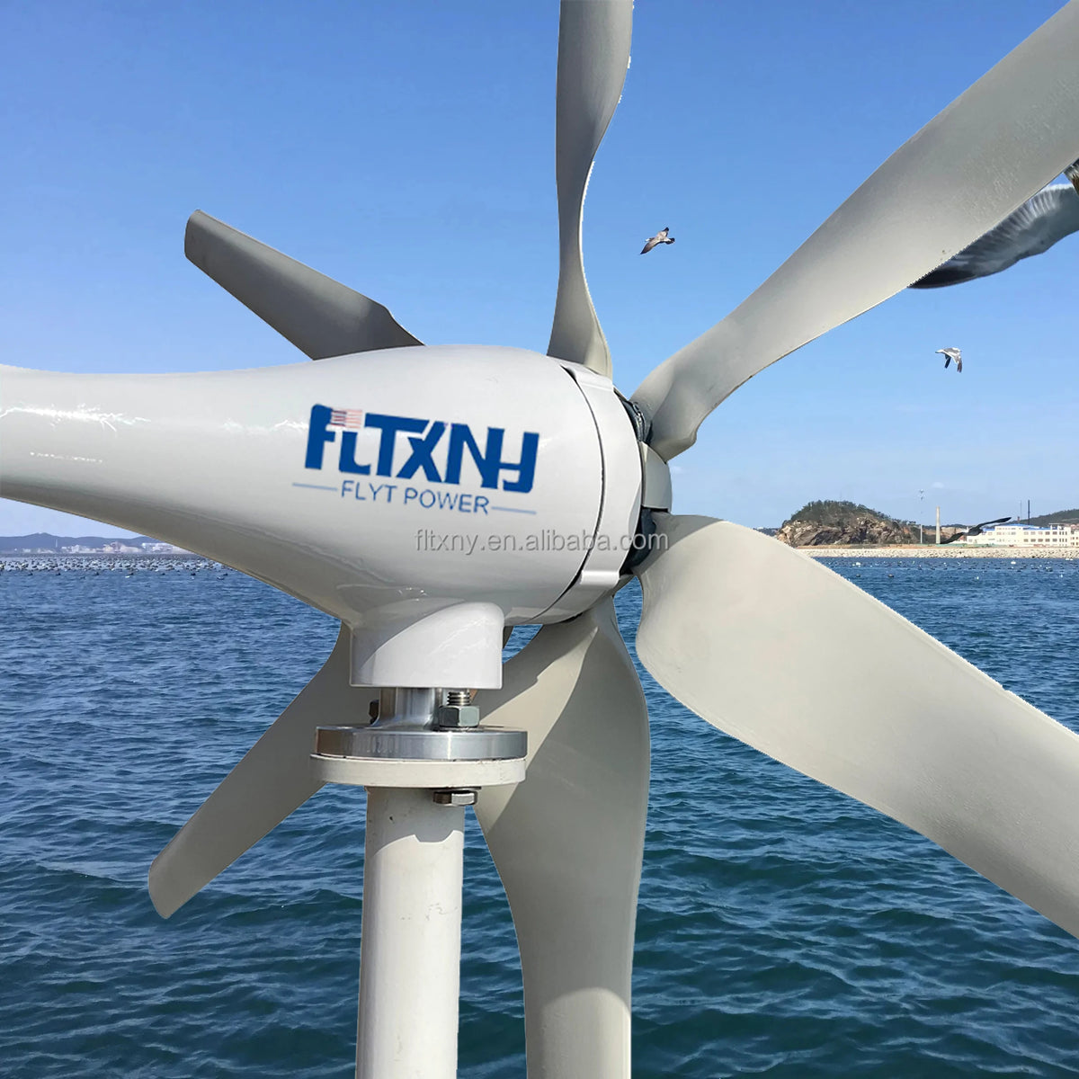 Poland Stock FLYT 1000W Permanent Magnet Generator Small Wind Turbine Wind Power Generation System 12V 24V 48V Wind Turbines MegaBDM