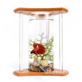 Creative Bamboo and Wood Ecological Fish Tank Desktop Mini Aquariums Wholesale Aquariums & Accessories Glass White Stocked 500ml