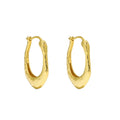 Melynn Irregular Earrings Sterling Silver Hoop Earrings Gold Plated Silver 925 Earrings for Women