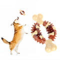 Wholesale Pet Supplies New Interactive Pet Accessories Teething Stick Durable Dog Chew Toys Bone Toys for Dogs