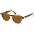 Wholesale 2024 New Arrivals Johnny Depp Designer Glasses Men Women Luxury Classic Retro Cat Eye Polarized Acetate Sunglasses