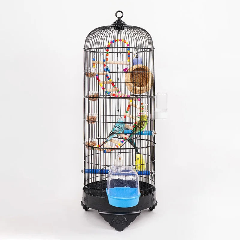 Customer Like Artistic Home Design Large Living Cages for Parrots Bird