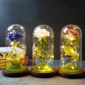 Rose Flower Lamp Rose in Glass Dome Blue Silk Roses Artificial Gift with Led Light for Birthday Wedding Anniversary Valentines