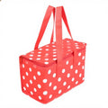 Custom Portable 15L Food Cooler Bag Non-Woven Thermal Insulation Carry Bag for Delivery Cheap Custom Insulated Cooler Bag