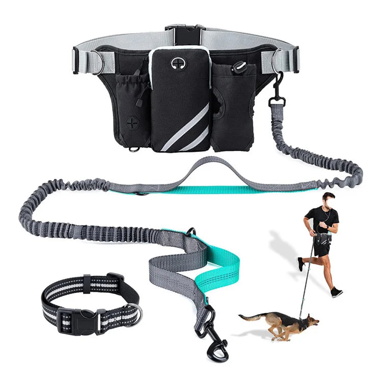 Multifunctional Outdoor Pet Training Waist Bag Sports Dog Walking Leash Belt & Running Fanny Pack