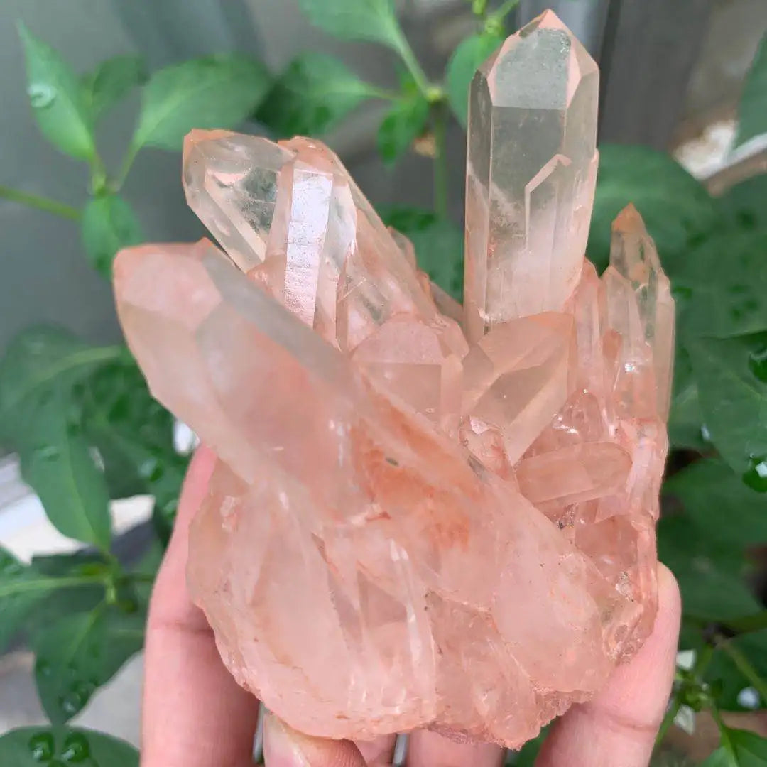 Bulk Wholesale Beautiful Natural pink Quartz Gemstone Crystal Healing Cluster for Home Decor