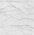 2023 Baolin Pvc Light Colour Grey Laminated Flooring Discontinued Peel and Stick Vinyl Floor Tile Pvc Wood Floor