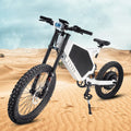 Many Use Dirt Bike  3000W 48V Electric Bicycle 26inch Fat Tire E Bicycle Electric Bike