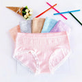 Seamless Panties Ladies Underwear Briefs Lace Panties Healthy and Comfortable Women Nylon Panties Underwear MegaBDM