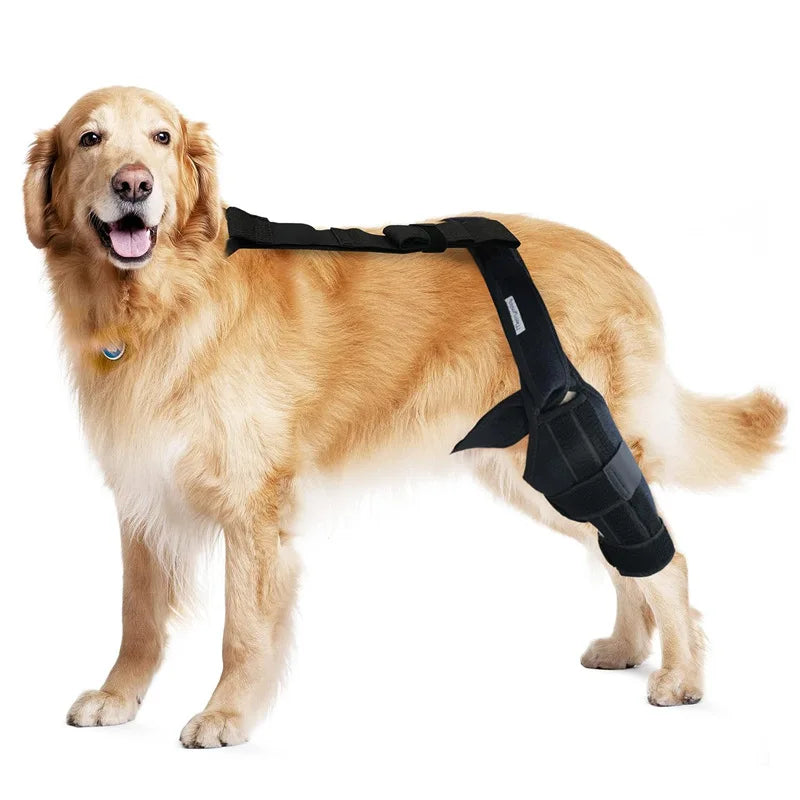 OEM Orthopedic Dog Leg Brace for ACL Pet Knee Support Pet Protector Leg Recovery Sleeve Brace Reduces Joint Pain Dog Knee Brace