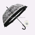 Paris Transparent Plastic clear Umbrella