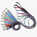 Wholesale Webbing for Dog Collars Nylon Webbing Dog Collar and Leash