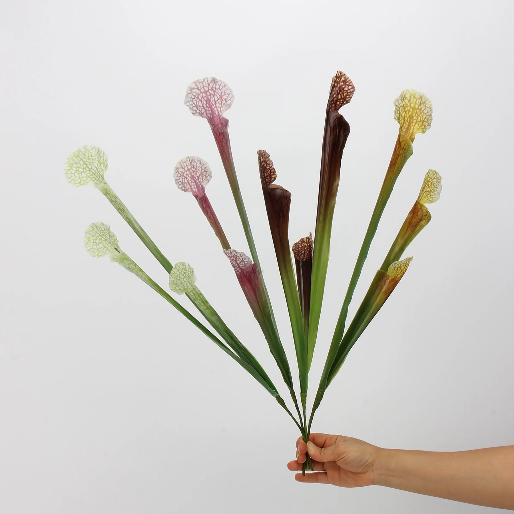 C260 2025 New Style Nepenthes Pitcher Plant Artificial Flower 56cm Soft Glue Wedding Flower Decorative Flower