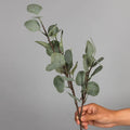 Y-2018 70Cm Artifical Eucalyptus Stem Eucalyptus Artificial Flower For Home Decoration