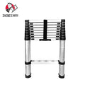Aluminum Telescopic Collapsible Extension Ladder with EN131 Certification Modern Design 9 Steps 150kg Capacity for Warehouse Use