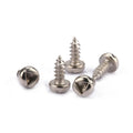 Fastener Stainless Steel Tamper Proof Anti-theft Triangle Drive Pan Head Self Tapping Security Screws