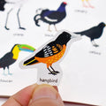 Reusable Custom Decorated Kids Birds Mini Sticker Book for Scrapbook Journal