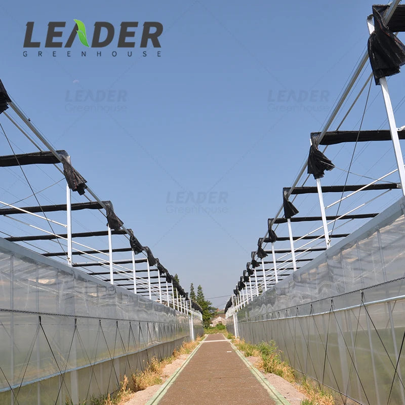 HDPE Woven Film Greenhouse Agriculture Orchid Shade Nets Vegetable UV Protection Sunblock Shade Cloth Film Net for Vegetable